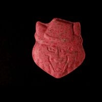 https://www.saferparty.ch/warnungen/raubkatze-mit-hut-mdma-l2653