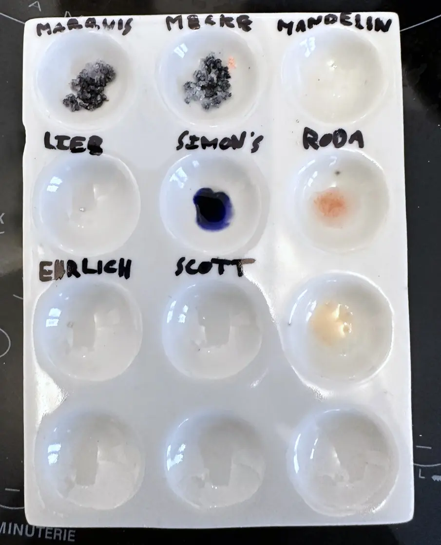 MDMA reagent test kit results (source:Reddit)